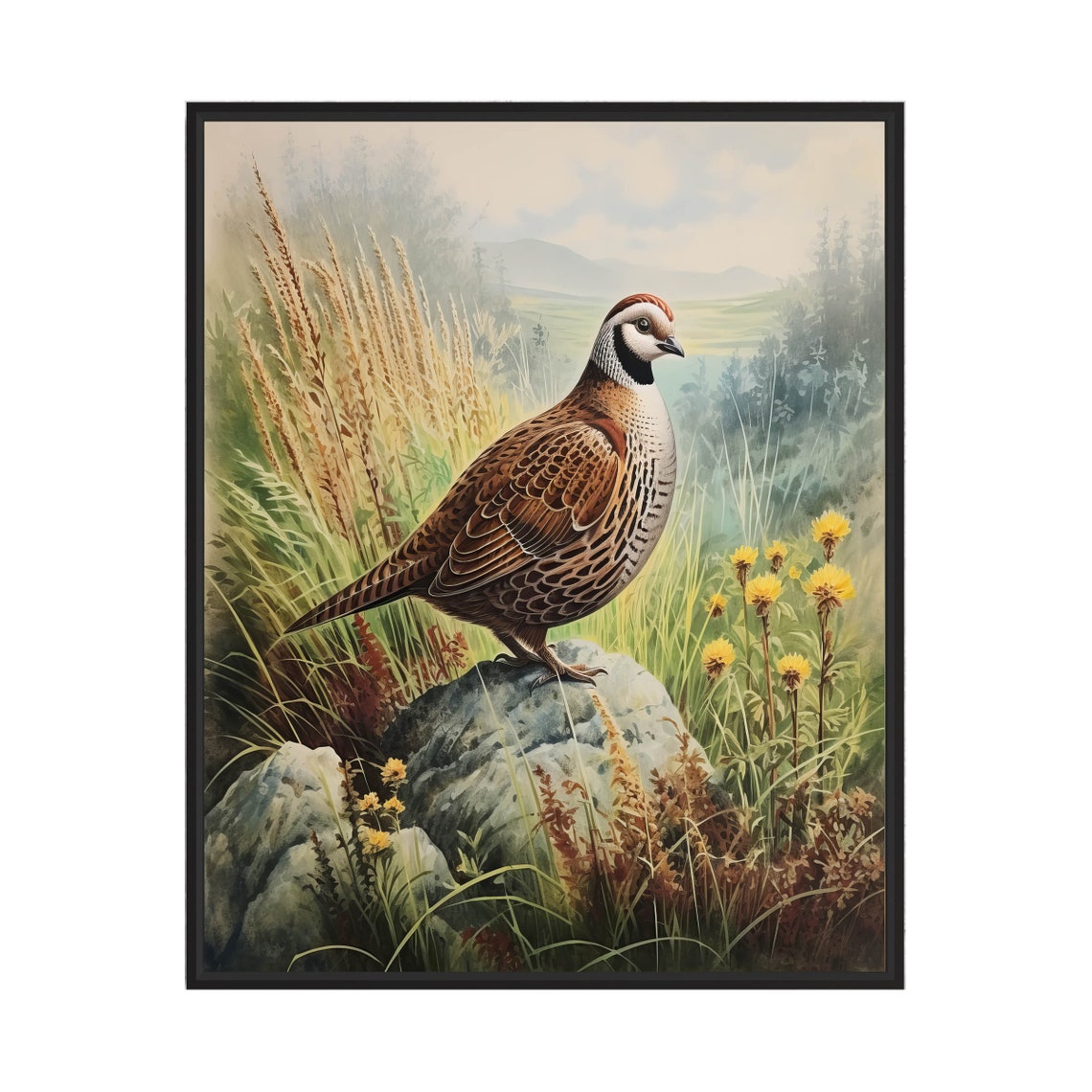 Bobwhite Quail Perched On Rock Among Yellow Wildflowers Poster