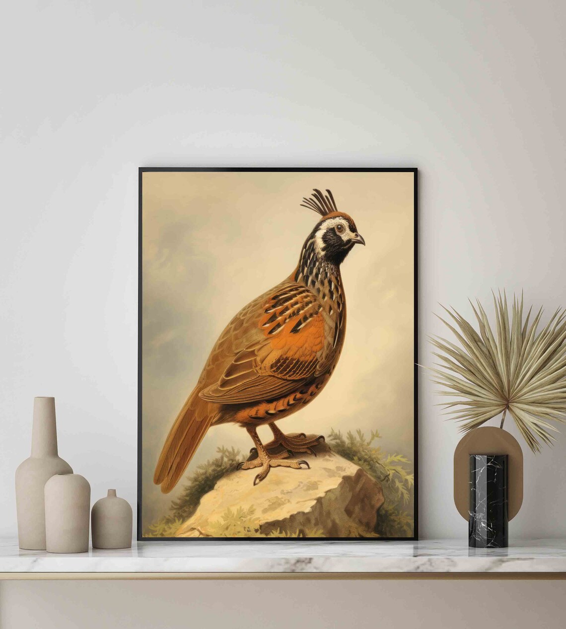 Quail Vintage Naturalist Illustration Crested Bird Rock Art Poster - Image 2