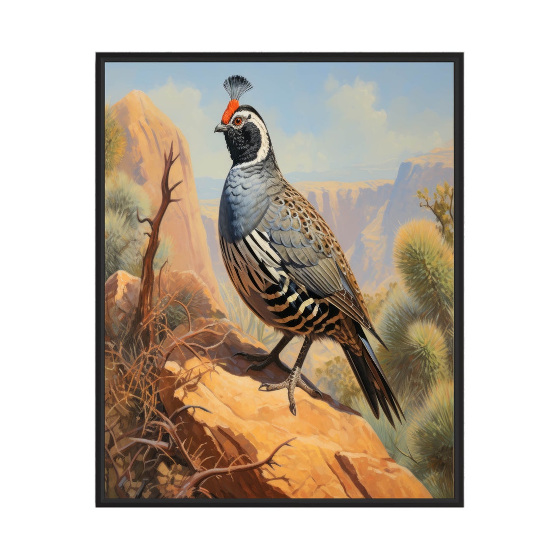 California Quail Standing On A Desert Rock At Sunrise Poster