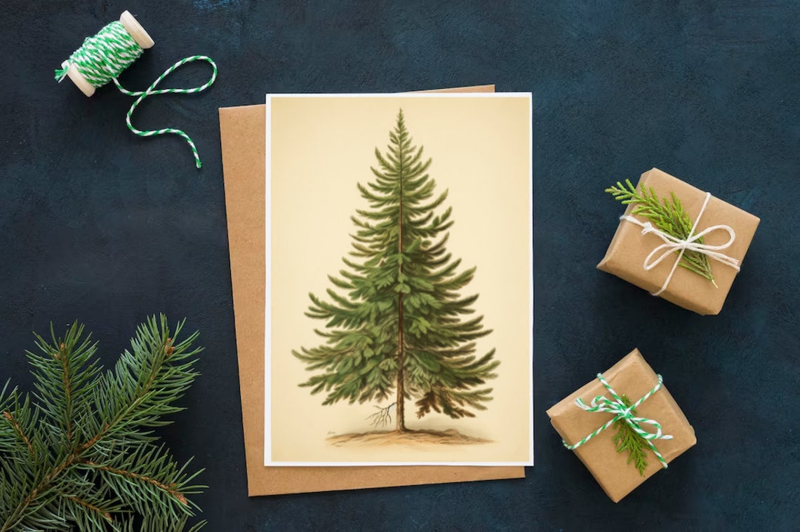 Vintage Botanical Fir Tree Illustration Christmas Evergreen Poster - Image 2