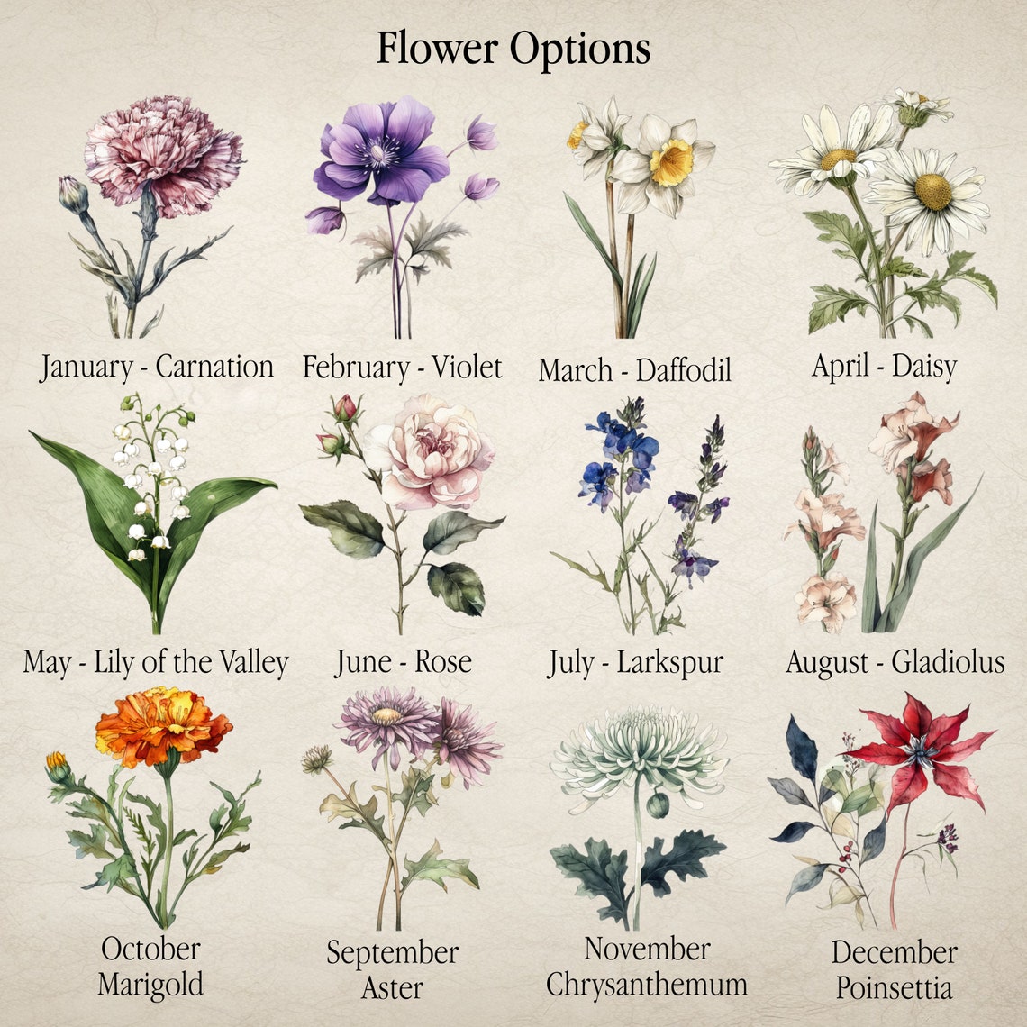 Hannah Personalized White Daisy Botanical Vintage Floral Poster - Image 3