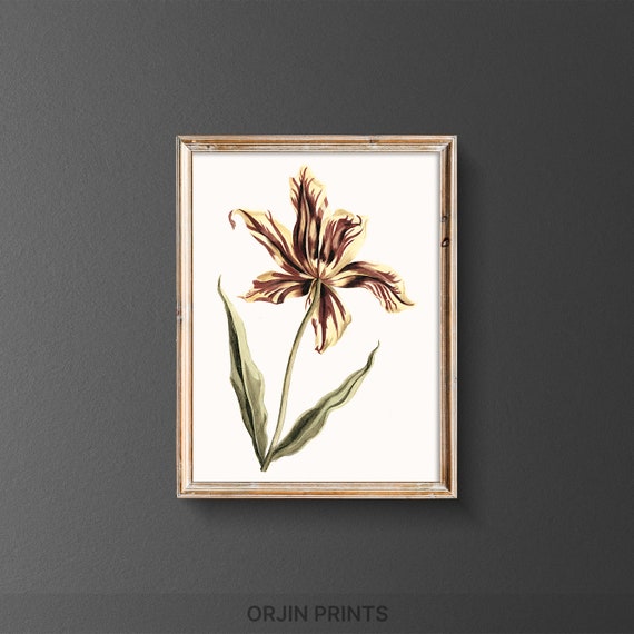 Vintage Tulip Delight Colorful Wall Art Bold Botanical Decor Orjin Prints 3749