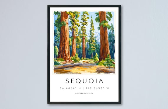Sequoia National Park Giant Trees Forest Watercolor Travel Poster