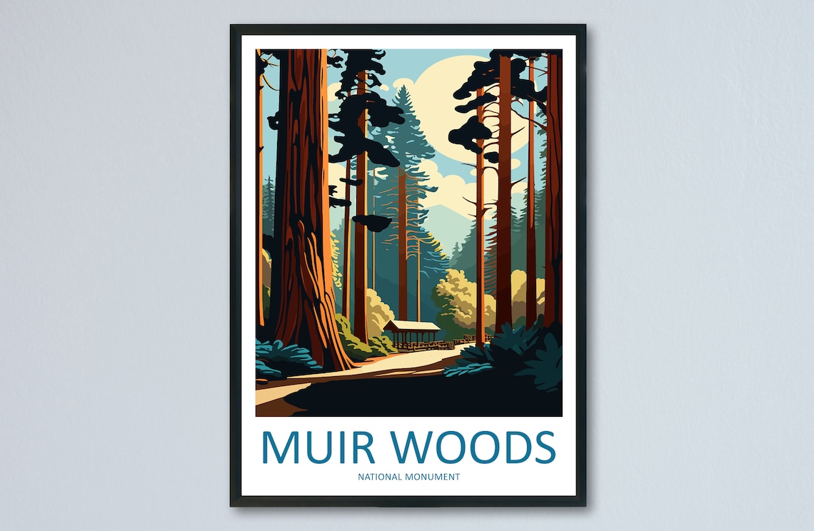 Muir Woods National Monument Travel Poster, California
