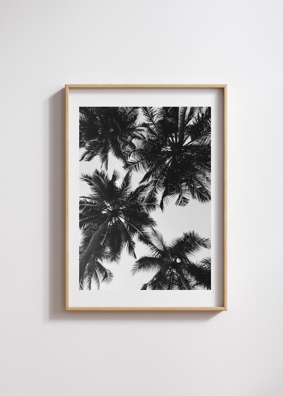 Black And White Palm Trees Canopy Tropical Coastal Photo Poster