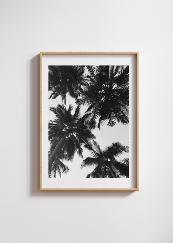 Monochrome Palm Tree Print Minimalist Coastal Wall Art