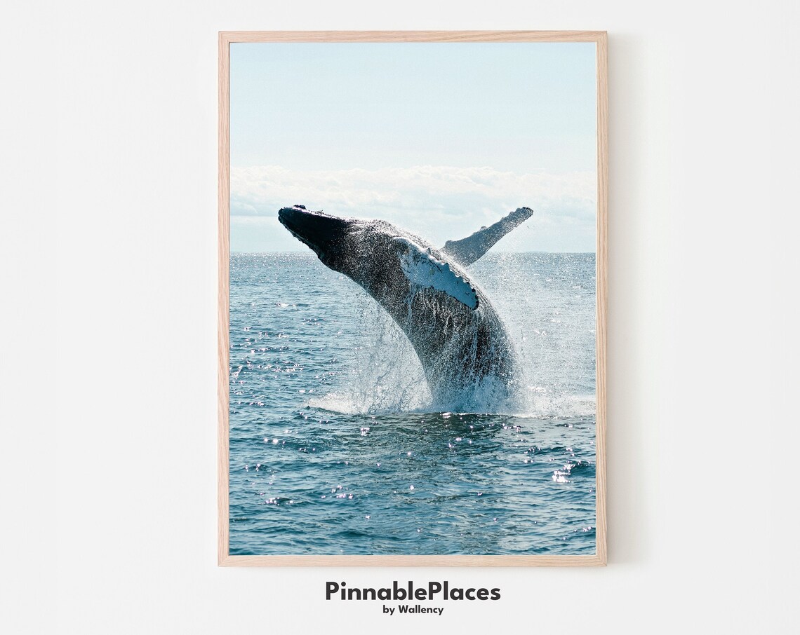 Whale In Ocean Photo Nautical Wall Art File