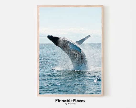 Breaching Humpback Whale Ocean Splash Photography Poster Gift