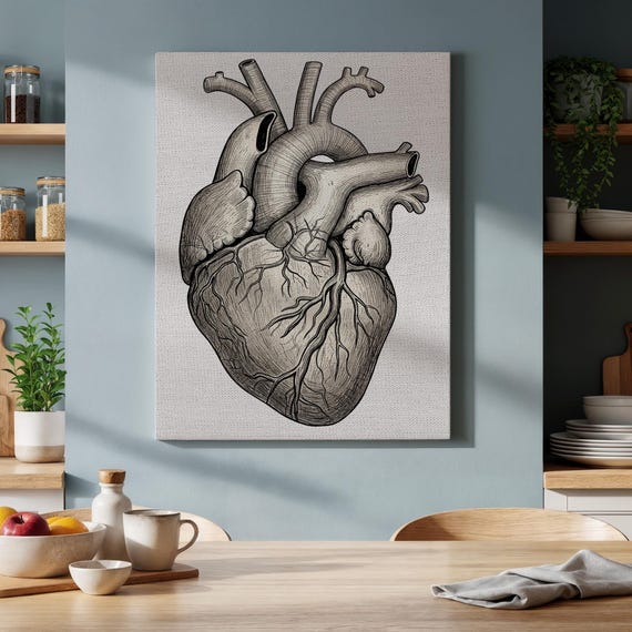 Framed Anatomical Heart Canvas Wall Art Vintage Medical Illustration In Black Ink Unique Science Gift For Doctors Artists Gothic Decor