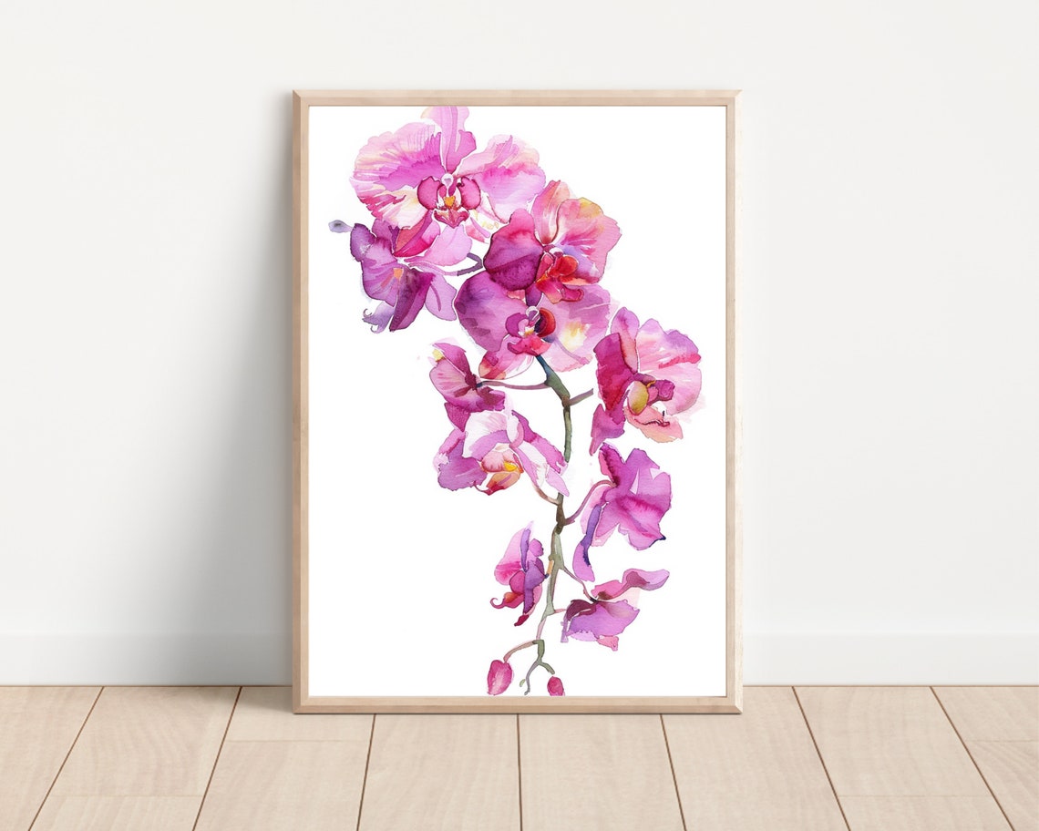 Pink Orchid Cascade Watercolor Flower Elegant Botanical Wall Poster