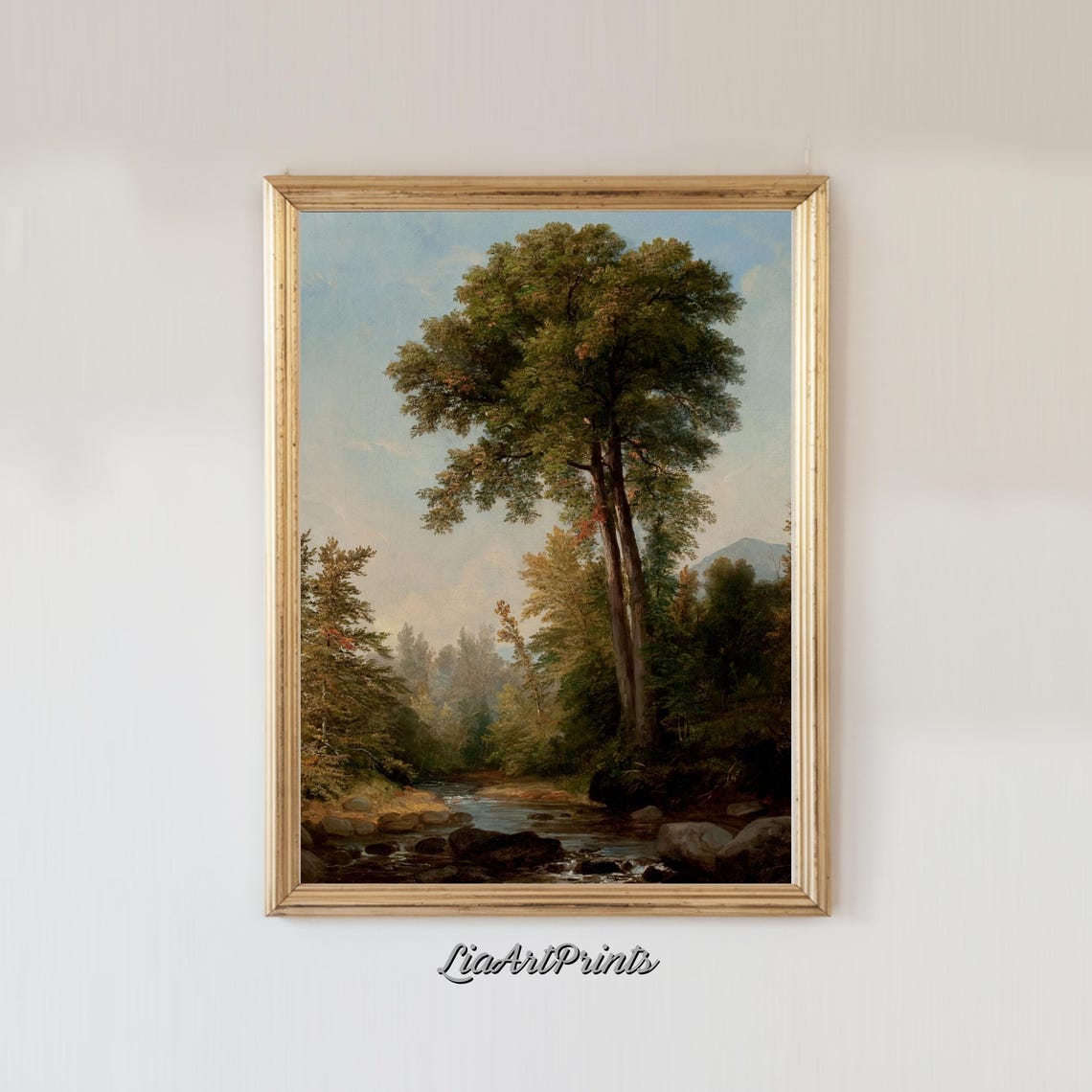 Majestic Tall Forest Trees beside a Rocky Woodland Stream Poster - Image 3