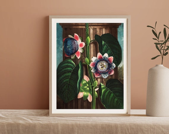 Vintage Passion Flower Botanical Tropical Art Print