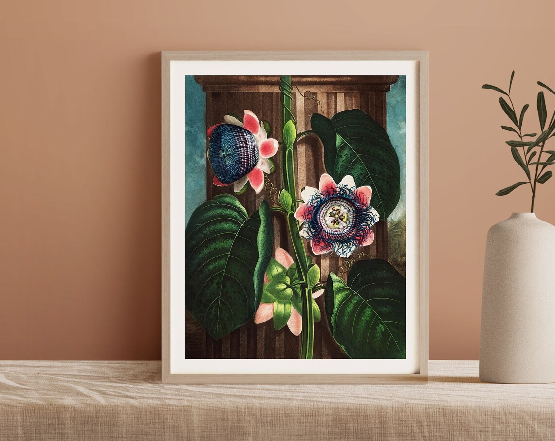 Vintage Passion Flower Botanical Tropical Art Print