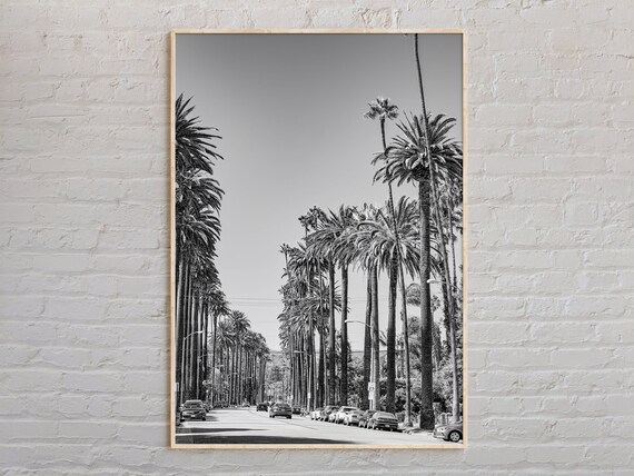 Los Angeles Palm Tree Lined Street Black And White Photo Poster