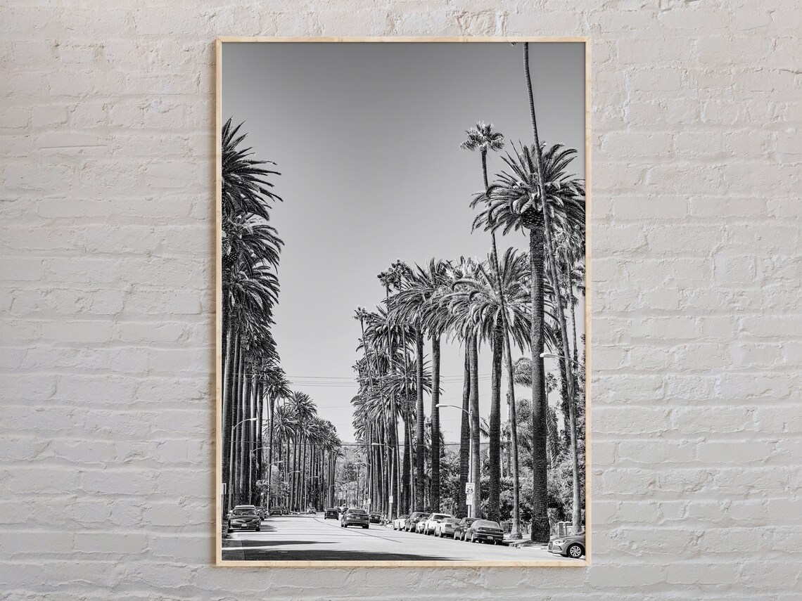 Los Angeles Palm Tree Lined Street Black And White Photo Poster