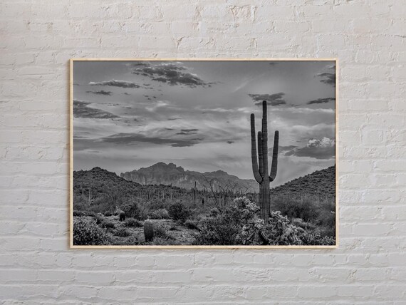 Saguaro National Park Arizona Desert Cactus Mono Landscape Poster