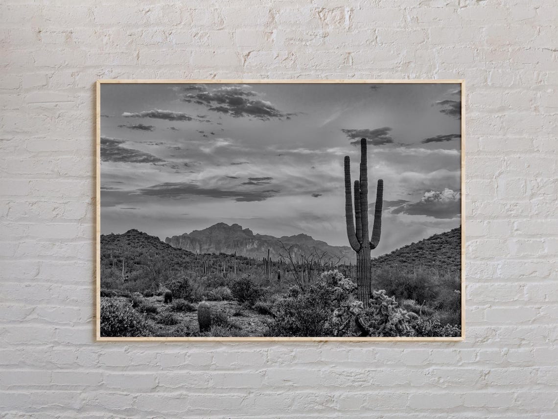 Saguaro National Park Arizona Desert Cactus Mono Landscape Poster