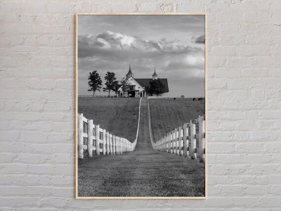 Kentucky Horse Farm White Fence Black White Countryside Poster