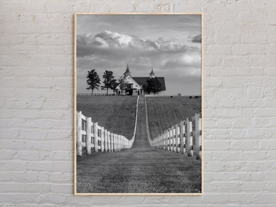 Kentucky Horse Farm White Fence Black White Countryside Poster