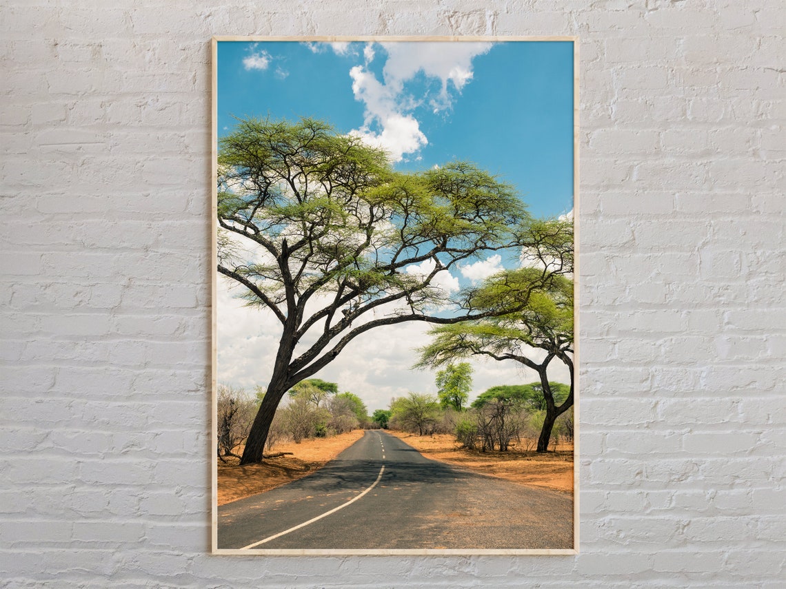 African Acacia Tree Road Under Bright Blue Sky Savanna Poster
