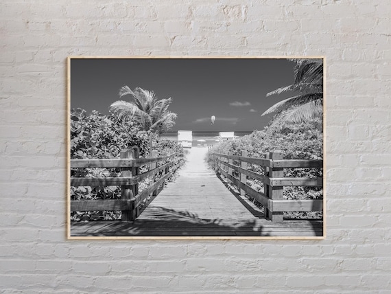 Black And White Florida Beach Boardwalk Palm Trees Photo Poster