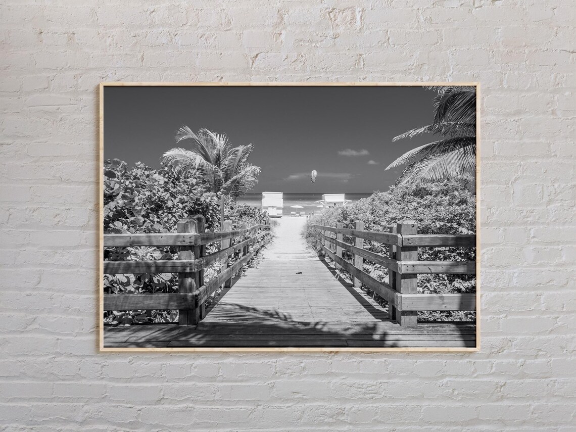 Black And White Florida Beach Boardwalk Palm Trees Photo Poster