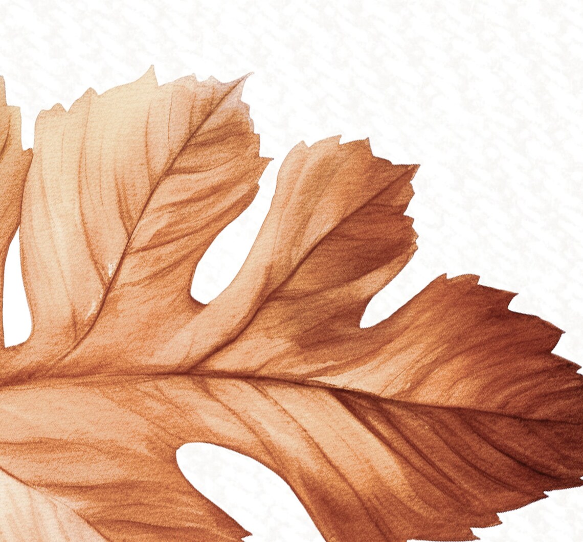 Fall Watercolor Leaf Botanical Art Print - Image 2