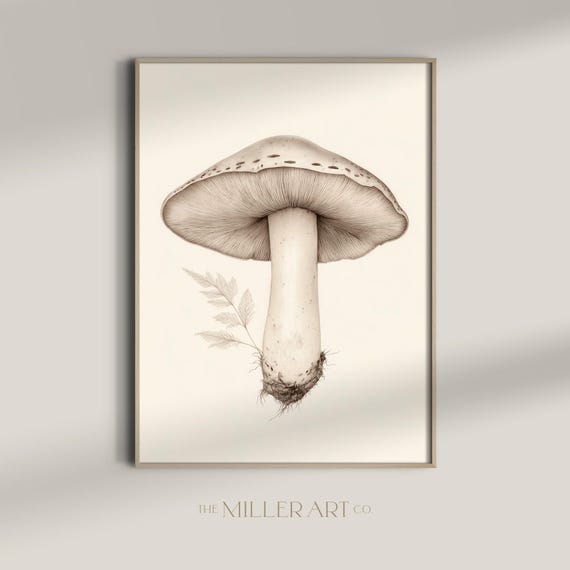Amanita Mushroom Print Fine Line Botanical Art