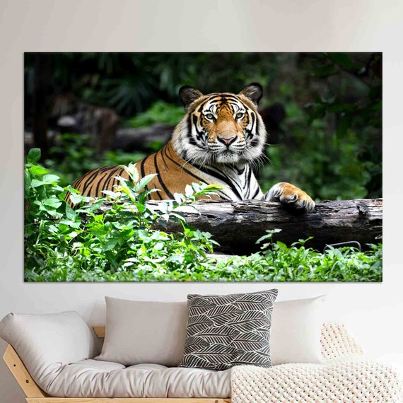 Bengal Tiger Wall Art Majestic Wildlife Photography In Jungle Canvas Or Glass Print For Safarithemed Room Office Natureinspired Decor