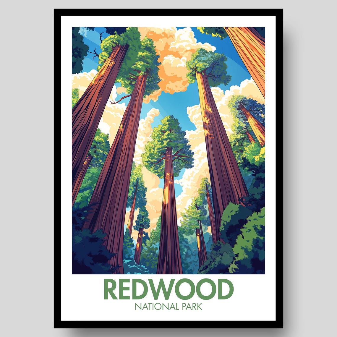 Redwood National Park Towering Trees Blue Sky Nature Travel Poster