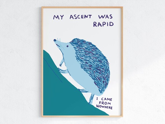David Shrigley My Ascend Was Rapid Quirky Wall Art Pop Art Decor Funny Poster Contemporary Home Gallery Humorous Decor