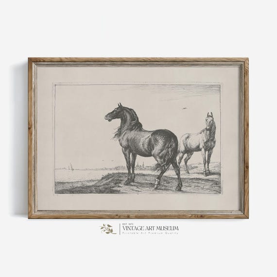 Horses Sketch Art Vintage Minimalist Wall Print