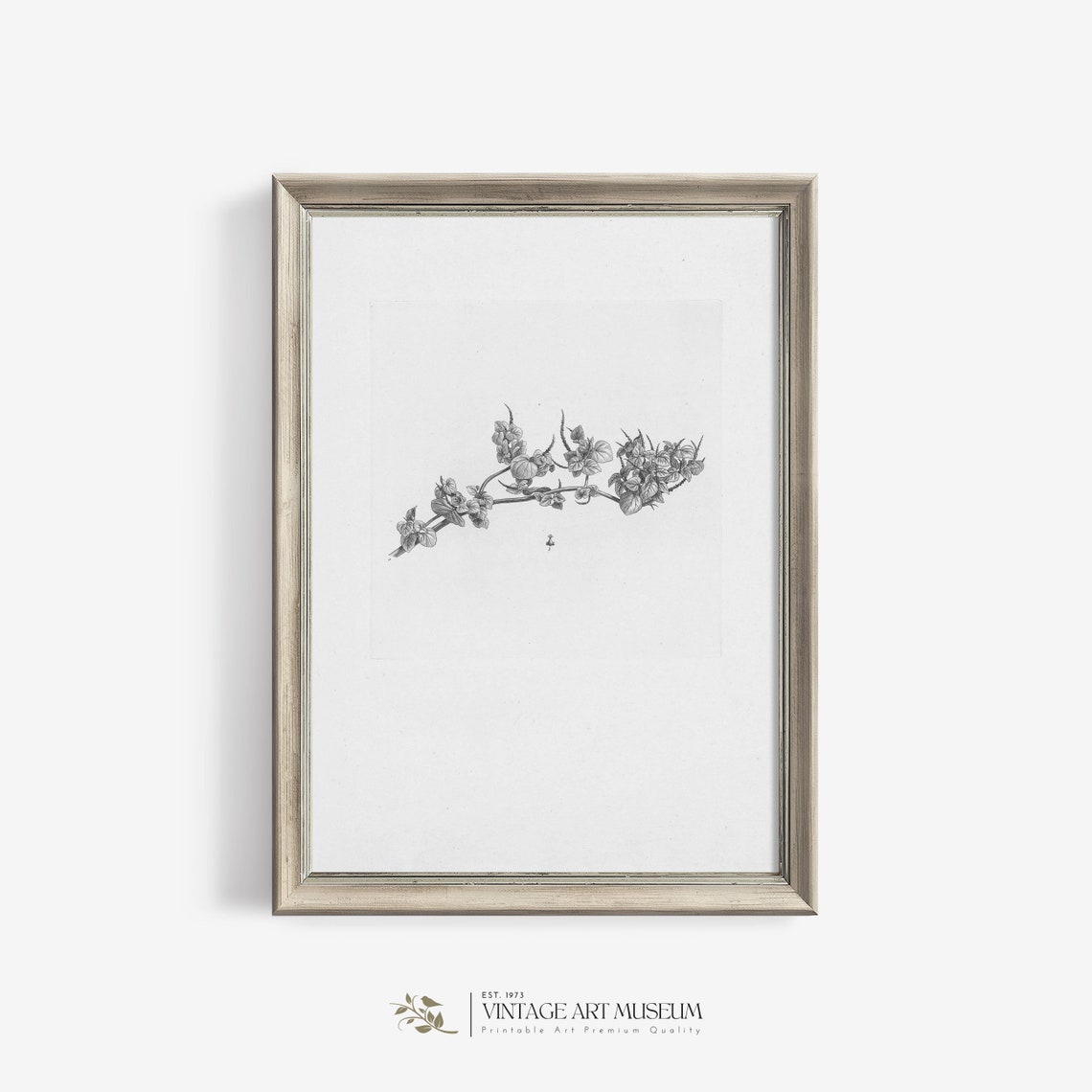 Blossoming Branch Pencil Sketch Minimalist Botanical Wall Art