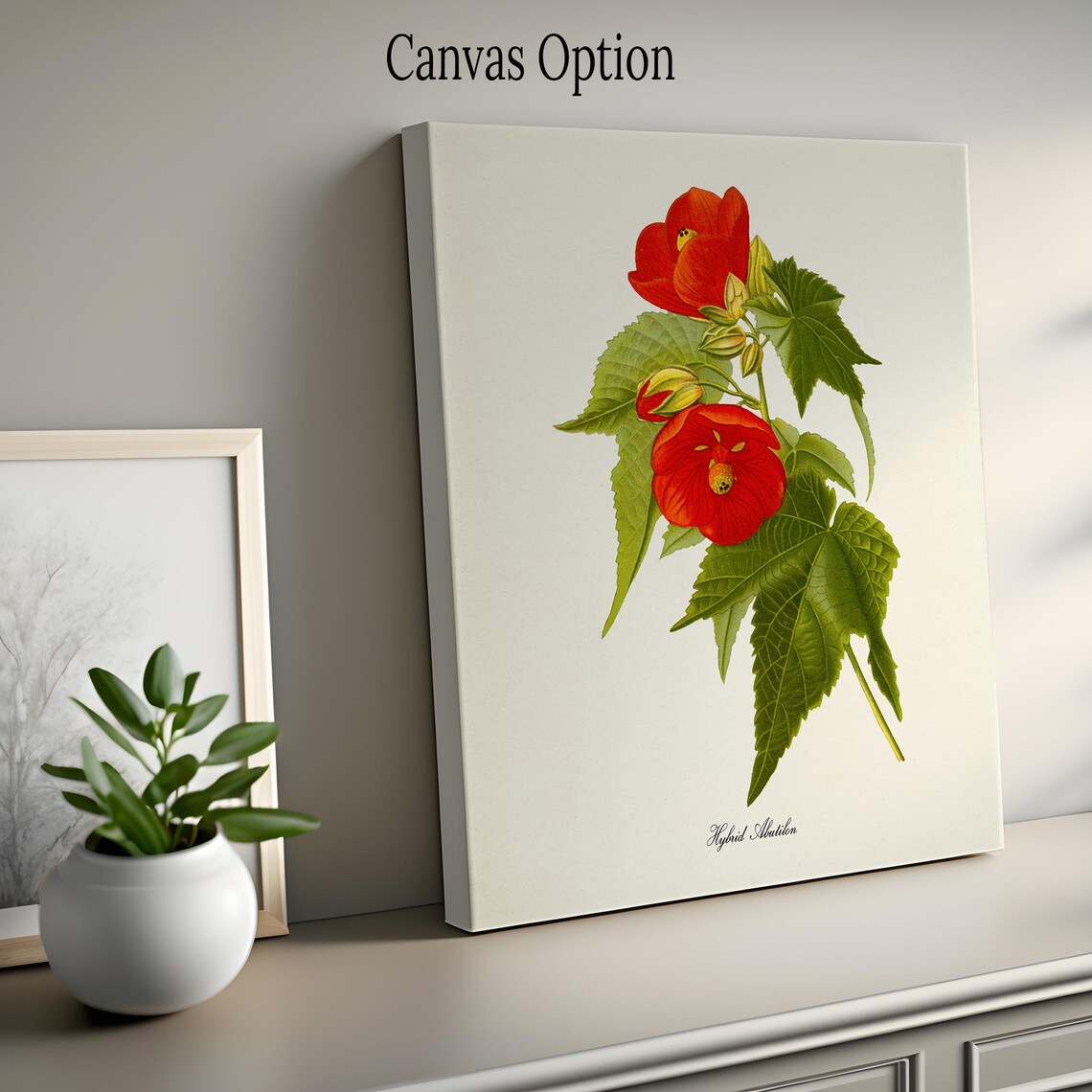 Hybrid Abutilon Flower Art Print, Botanical Wall Art - Image 2