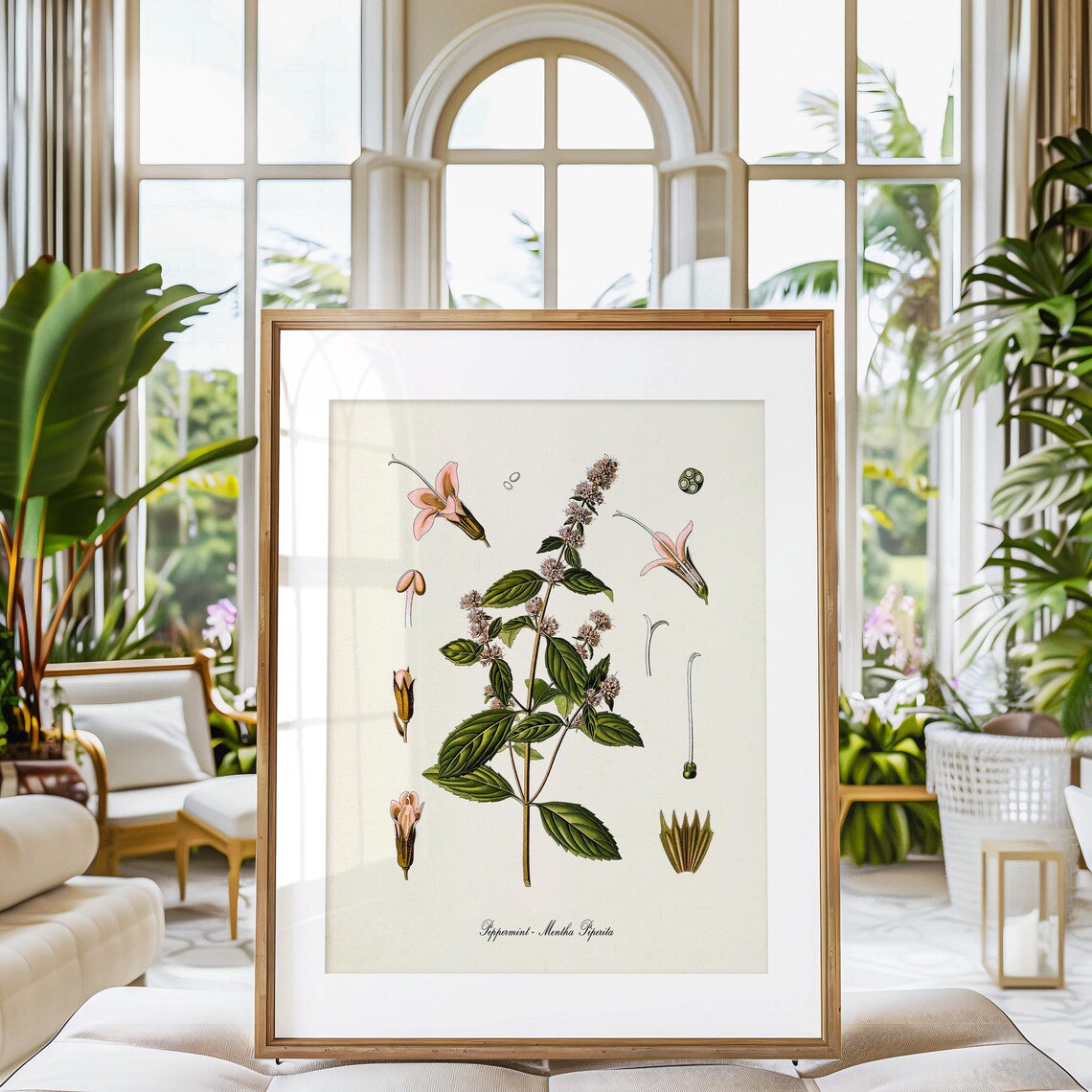 Peppermint Botanical Art Print, Kitchen Wall Decor - Image 3