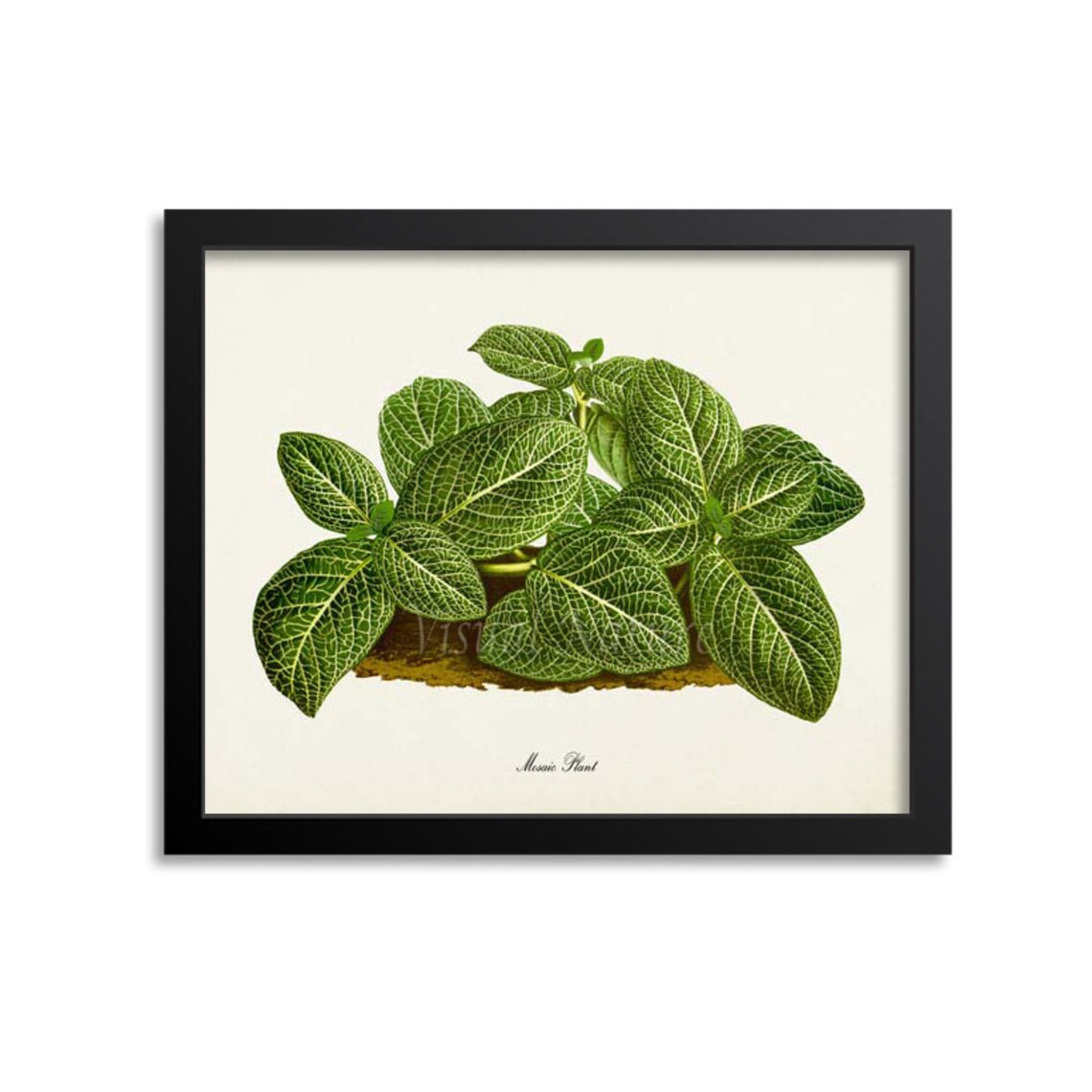 Mosaic Plant Botanical Art Print, Green Decor