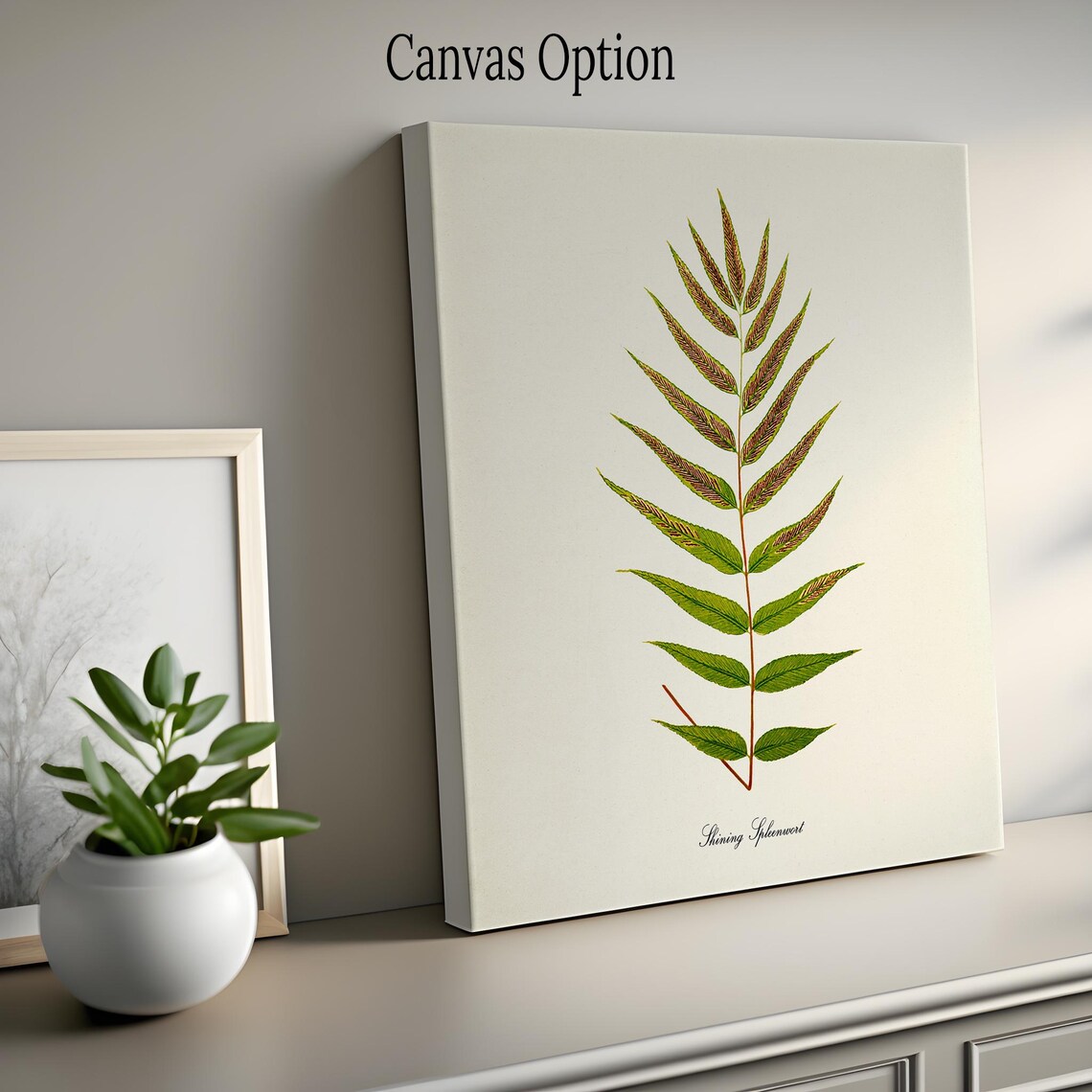 Shining Spleenwort Glossy Fern Frond Vintage Botanical Study Poster - Image 2