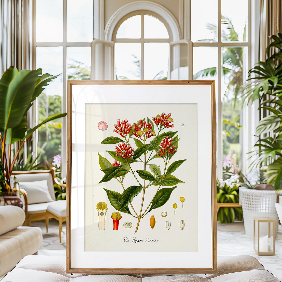 Clove Botanical Art Print, Syzygium Aromaticum - Image 3