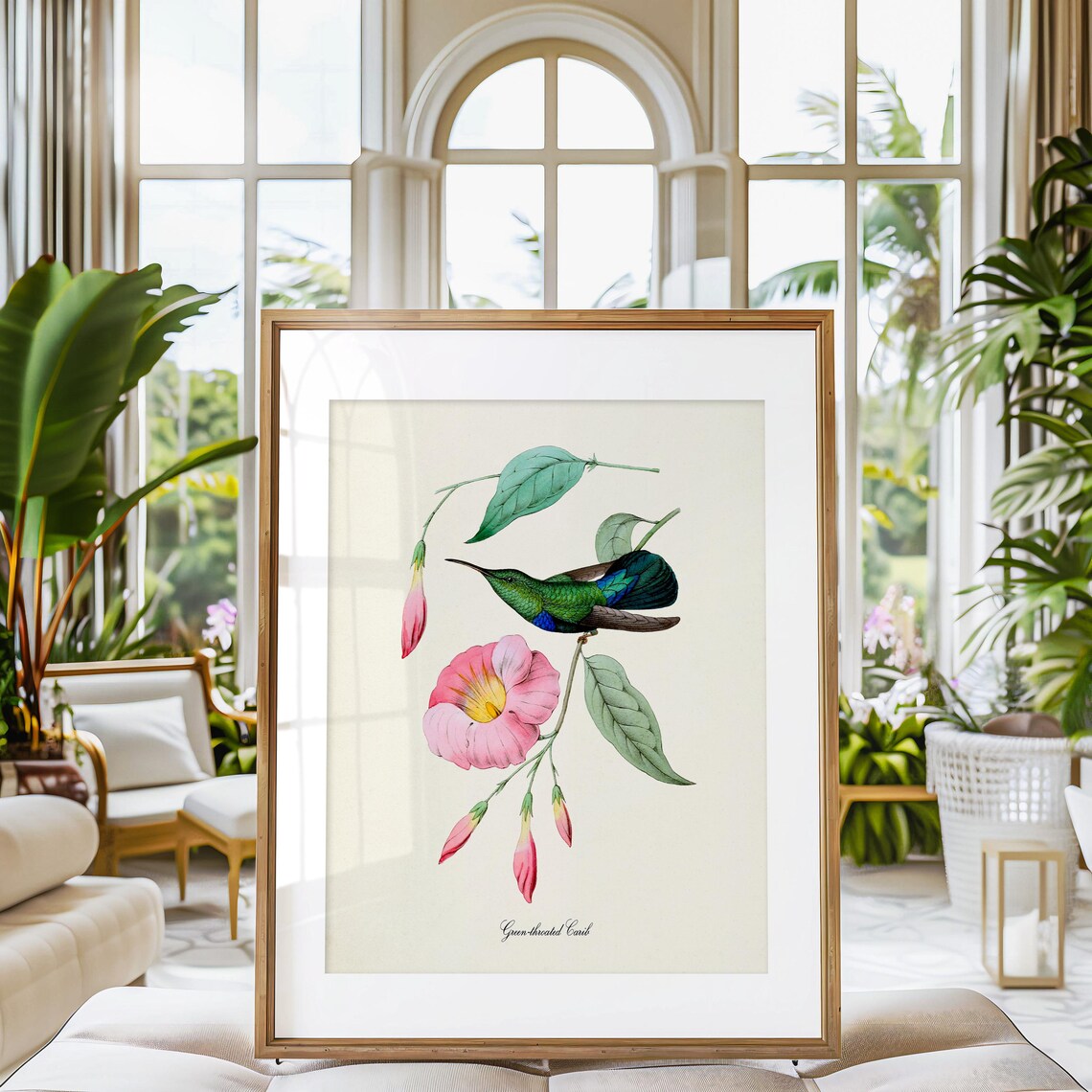 Green Throated Carib Hummingbird Bird Art Print - Image 3