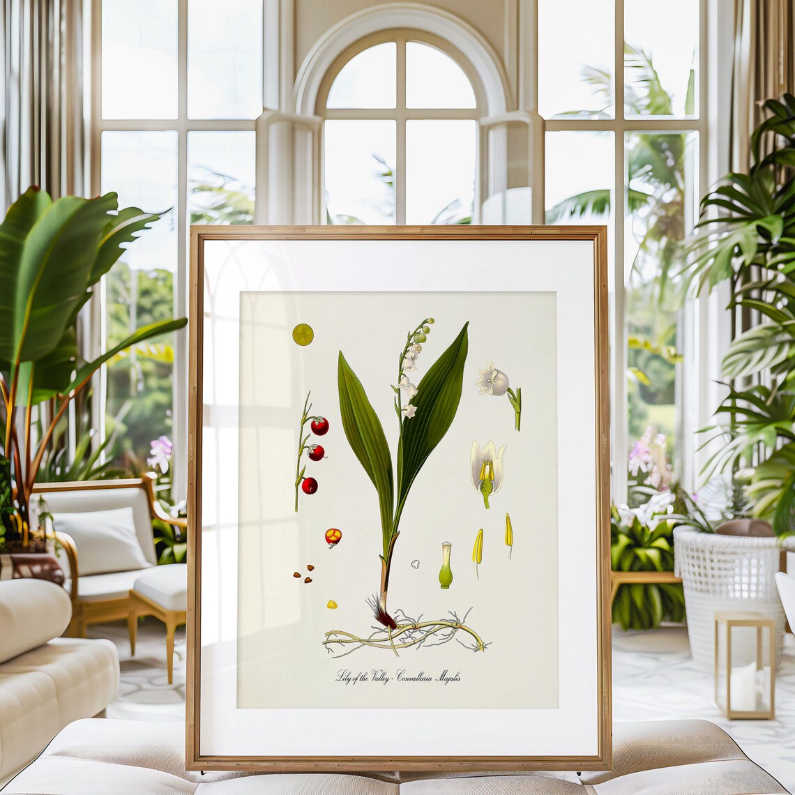 Lily Of The Valley Botanical Art Print, Medicinal Plant - Image 3