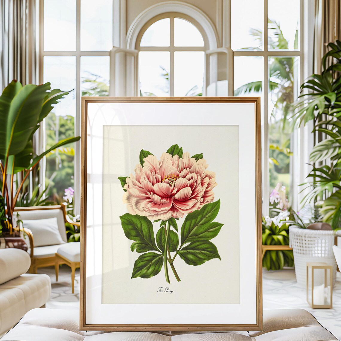 Pink Tree Peony Flower Botanical Wall Art Print - Image 3