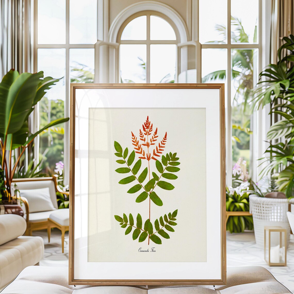 Osmunda Fern Botanical Art Print, Green Home Decor - Image 3