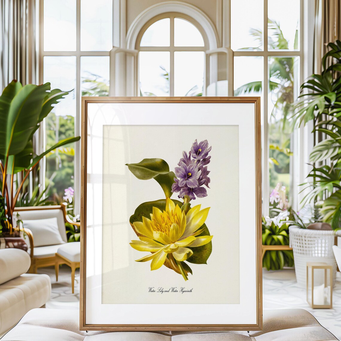Water Lily And Water Hyacinth Botanical Art Print - Image 3