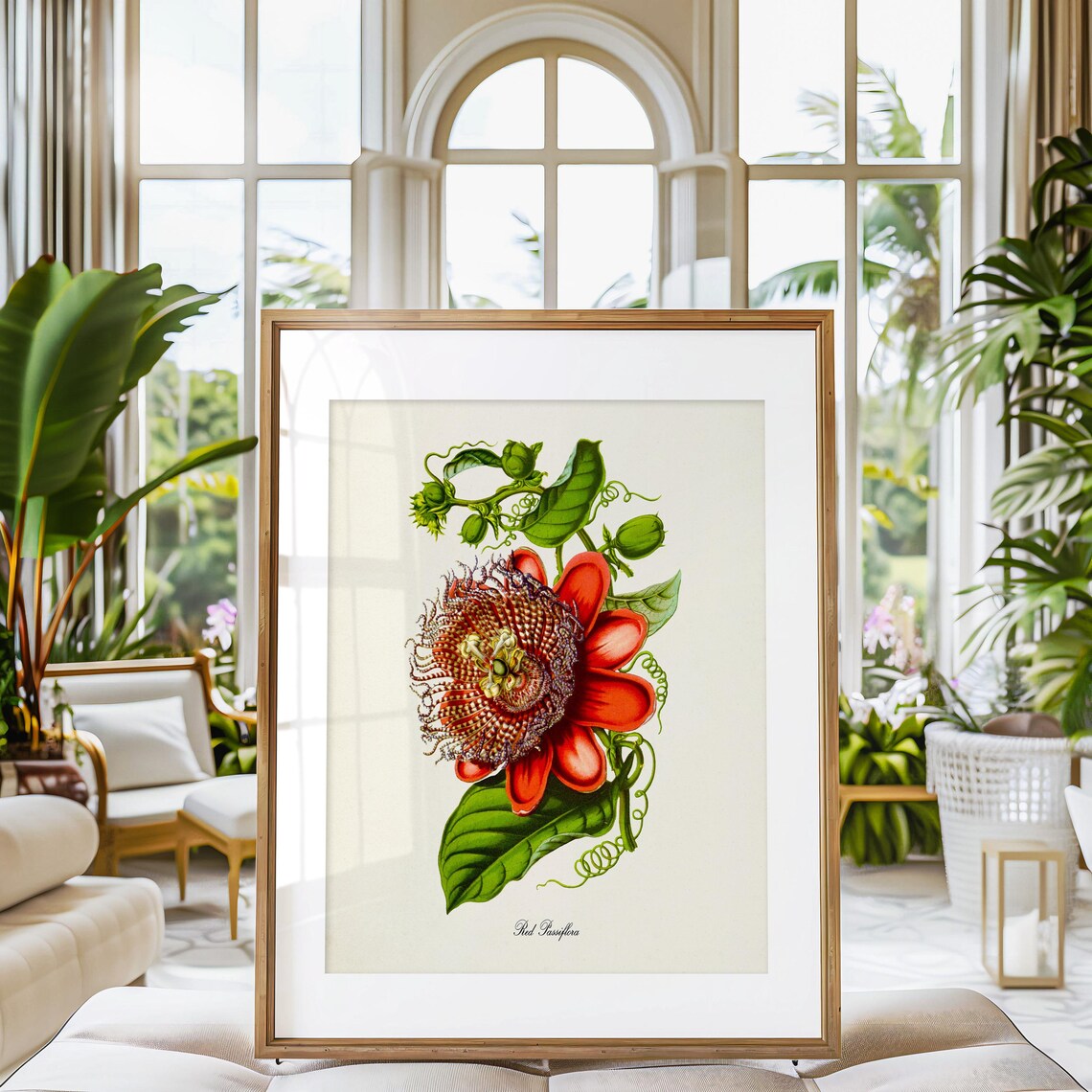 Red Passiflora Flower Botanical Wall Art Print - Image 3
