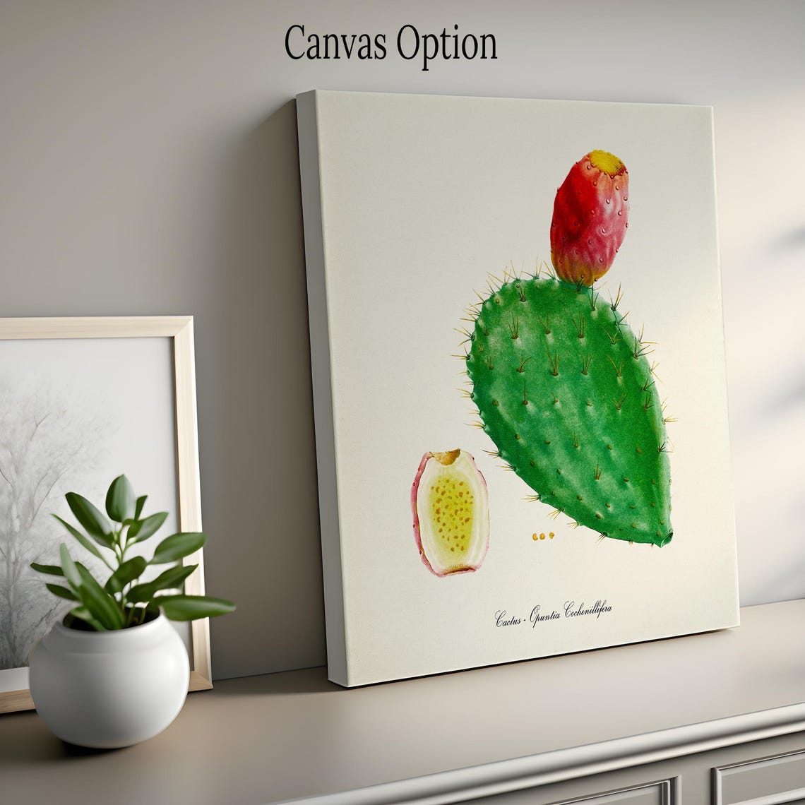 Prickly Pear Cactus Opuntia Fruit Vintage Botanical Study Poster - Image 2