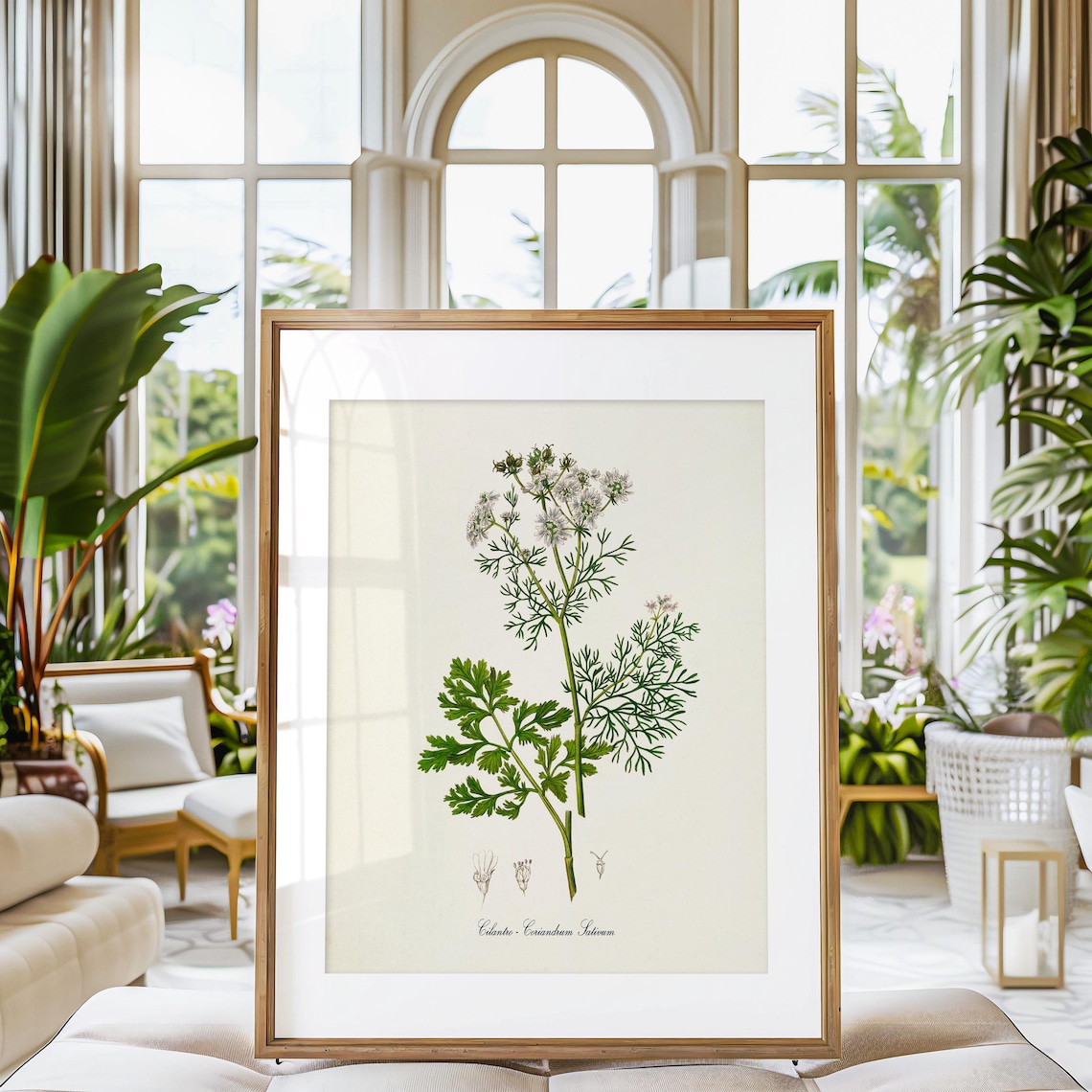 Cilantro Botanical Print, Herb Wall Art Poster - Image 3