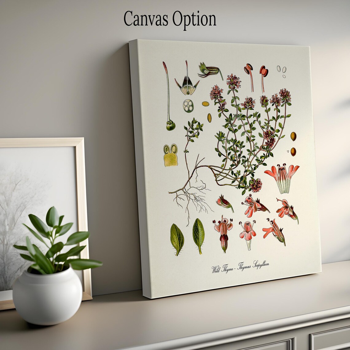 Wild Thyme Botanical Art Print, Kitchen Decor - Image 2