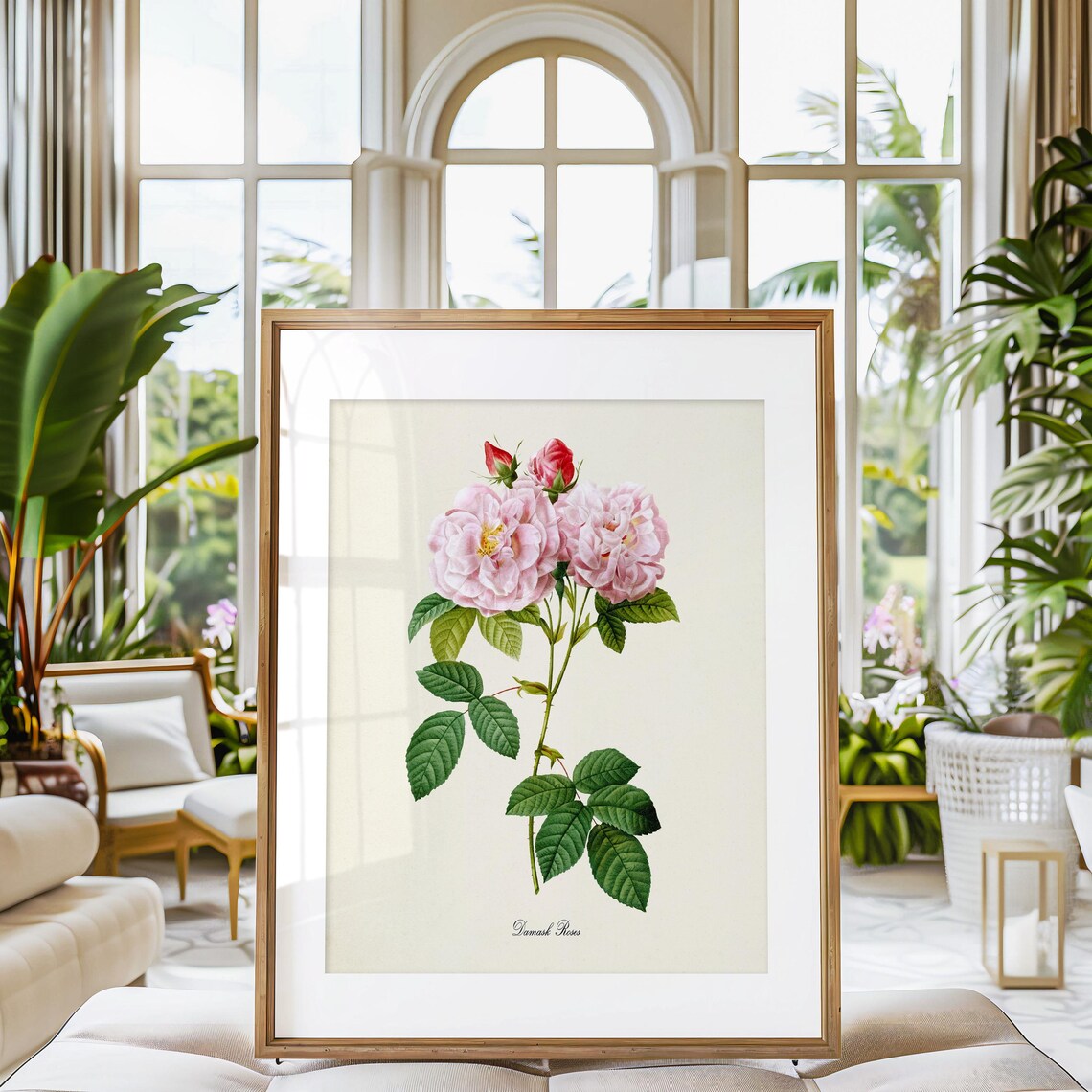 Damask Roses Pink Botanical Print in Vintage Illustration Style - Image 3