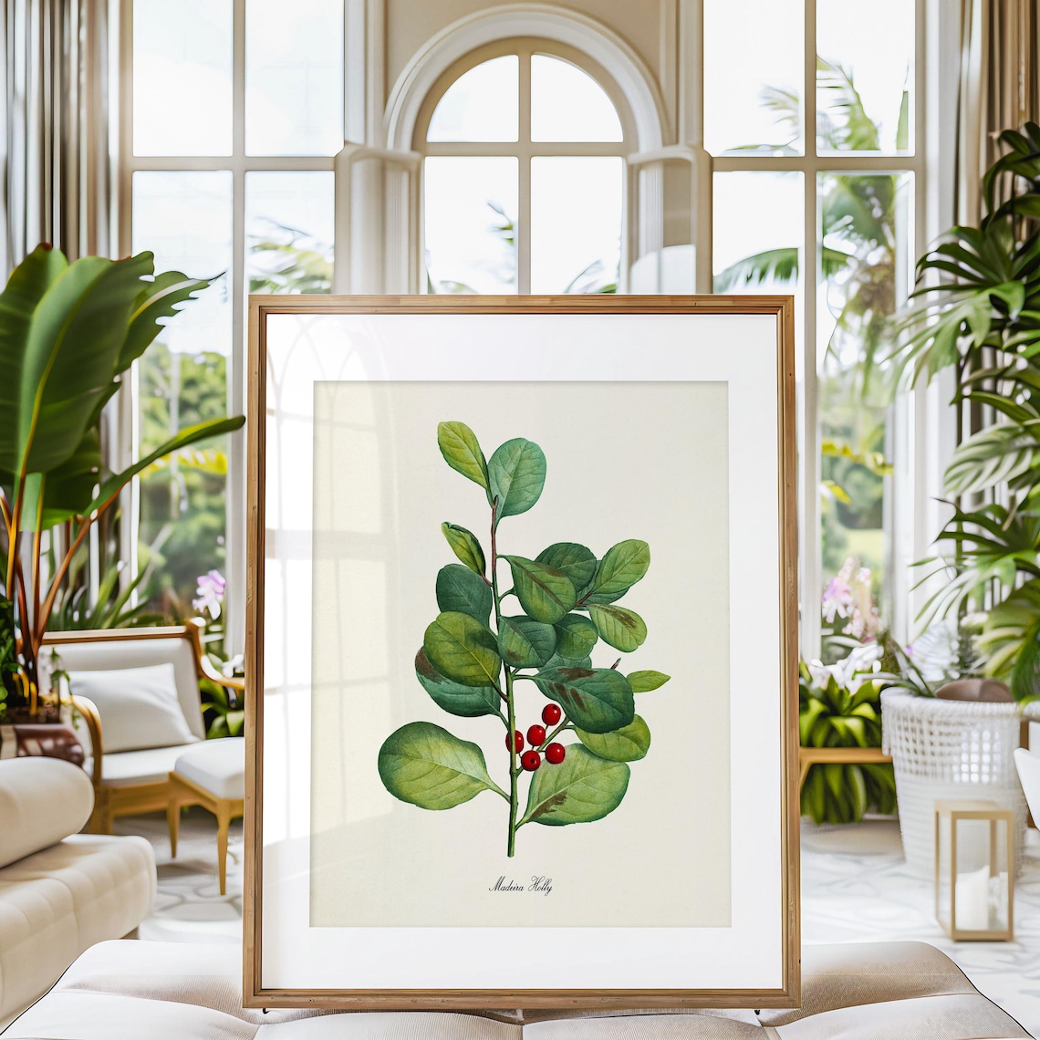 Madeira Holly Botanical Art Print, Red Berry - Image 3
