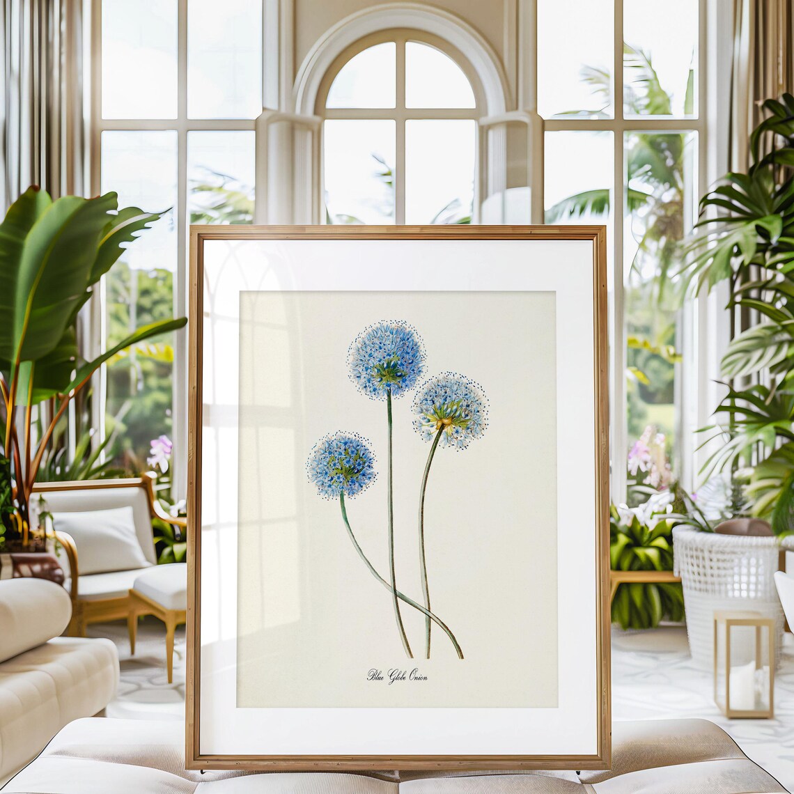 Blue Globe Onion Flower Botanical Poster Print - Image 3